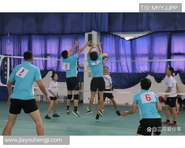 上海排球队进攻策略全解析深度剖析排球战术与团队协作