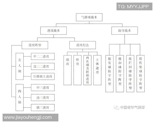 南京排球队的转换打法深度解析与战术创新探讨 南京排球队的转换打法深度解析与战术创新探讨