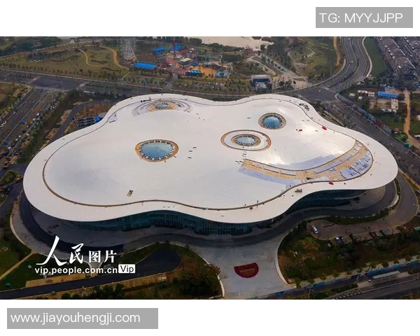 南京极限运动队灵活性表现的数据分析与提升策略探讨