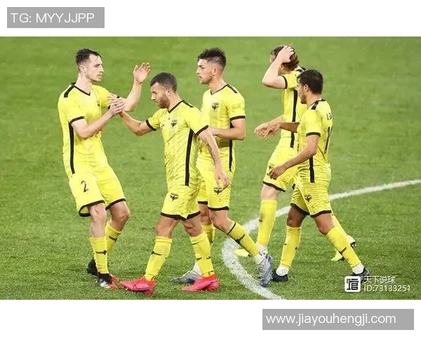 布里斯班与惠灵顿2019年精彩对决回顾与分析 布里斯班与惠灵顿2019年精彩对决回顾与分析